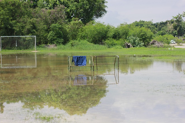 能够上场比 能够上场比