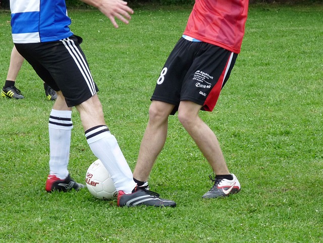 的德国足协 的德国足协