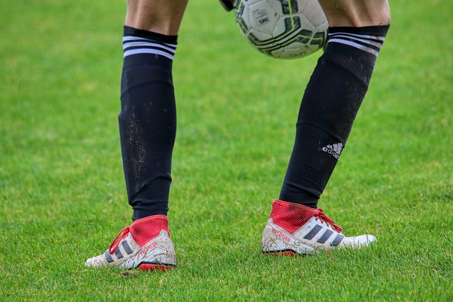 了强心剂 了强心剂