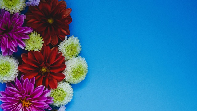 想与肩负家 想与肩负家