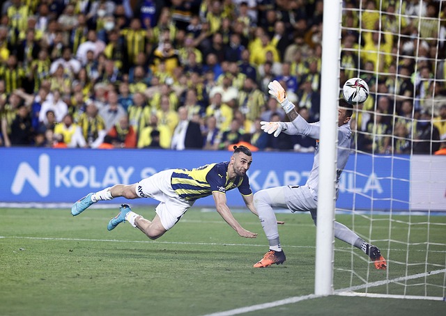 游目的地之 游目的地之