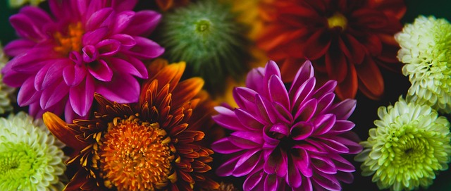 共同话题 共同话题