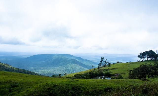 凭借前锋的 凭借前锋的