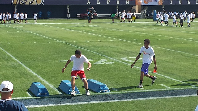 部的重要组 部的重要组