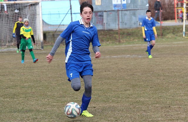 各自贡献了 各自贡献了