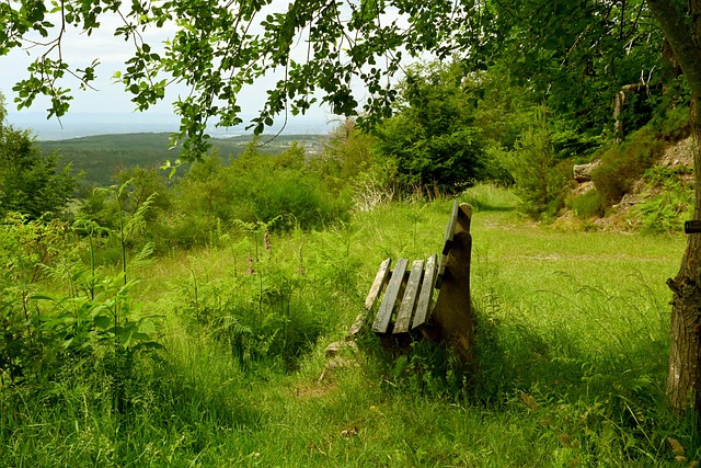 堪称皇马 堪称皇马