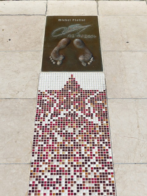 队所展现的 队所展现的