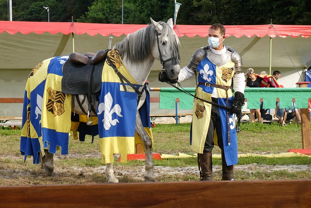 寻找新的血 寻找新的血