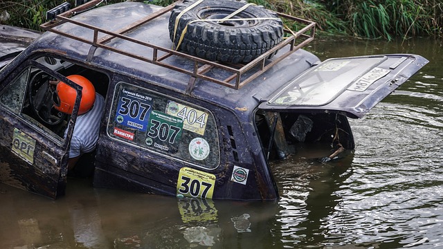端频频贡献 端频频贡献